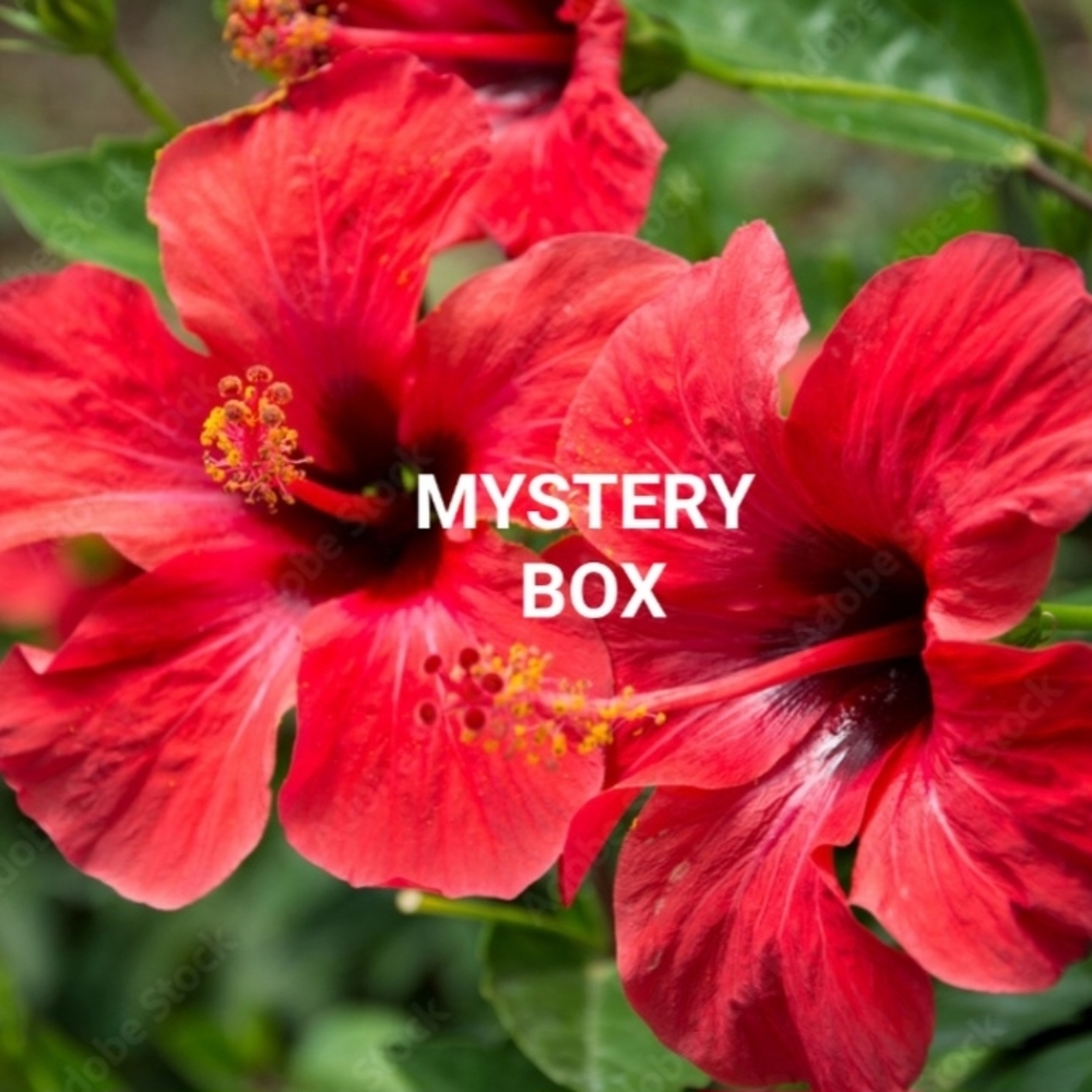 Mystery Box - Hawaii Summer